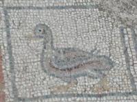 Pasta All'Anatra - Tile mosaic of a duck